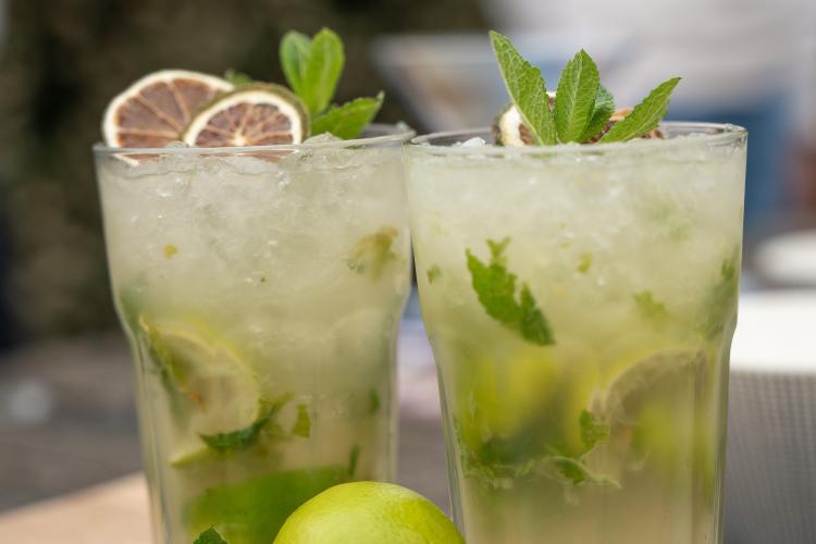 LEOLOU BAR